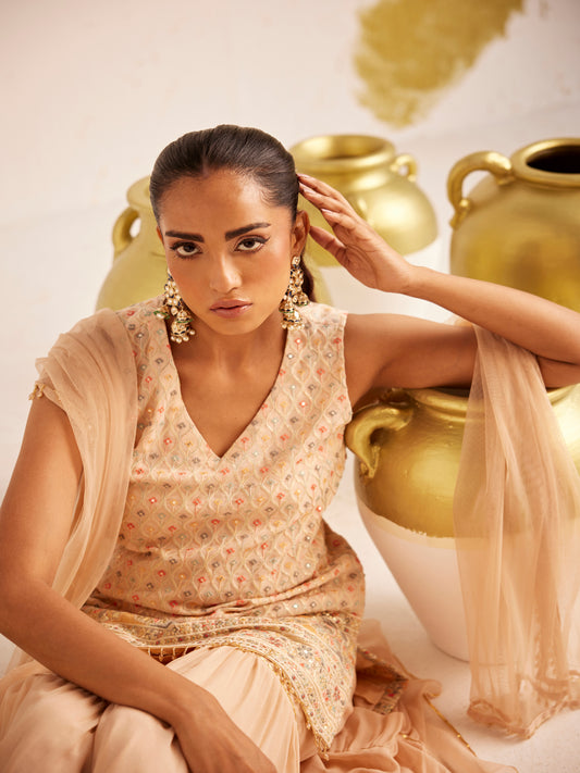 PEACH MULTI COLOR THREADWORK SHARARA SET